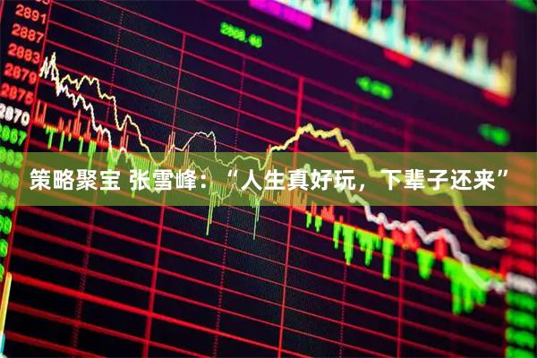 策略聚宝 张雪峰：“人生真好玩，下辈子还来”