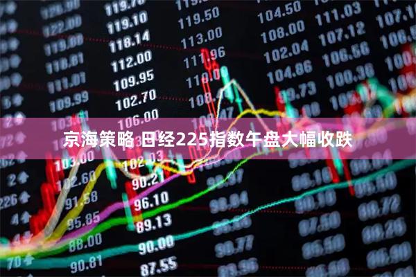 京海策略 日经225指数午盘大幅收跌