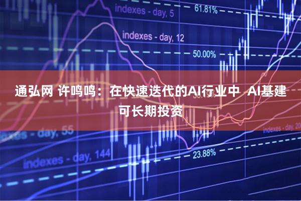 通弘网 许鸣鸣:在快速迭代的AI行业中 AI基建可长期投资