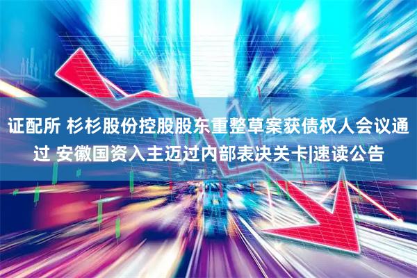 证配所 杉杉股份控股股东重整草案获债权人会议通过 安徽国资入主迈过内部表决关卡|速读公告