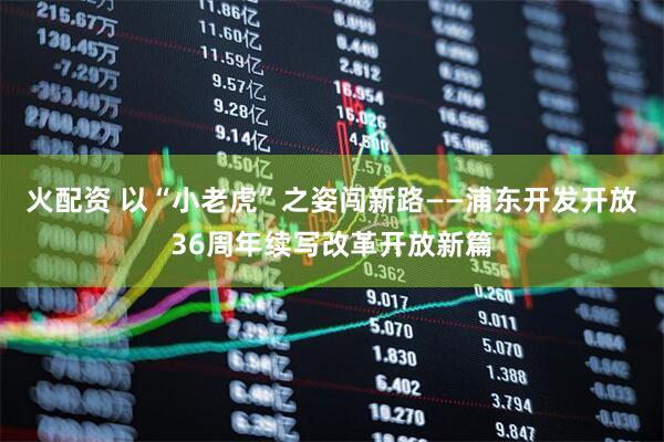 火配资 以“小老虎”之姿闯新路——浦东开发开放36周年续写改革开放新篇
