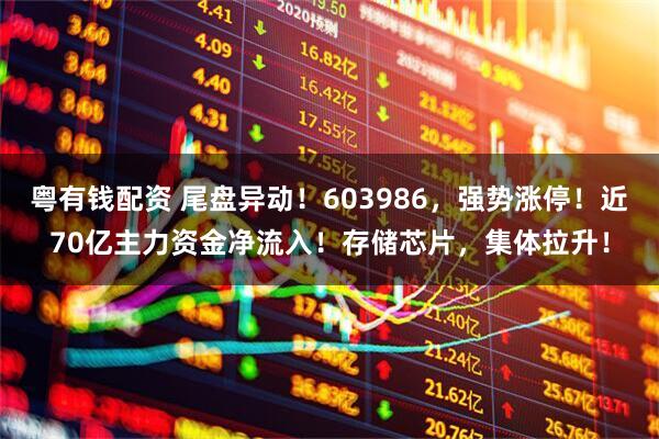 粤有钱配资 尾盘异动！603986，强势涨停！近70亿主力资金净流入！存储芯片，集体拉升！