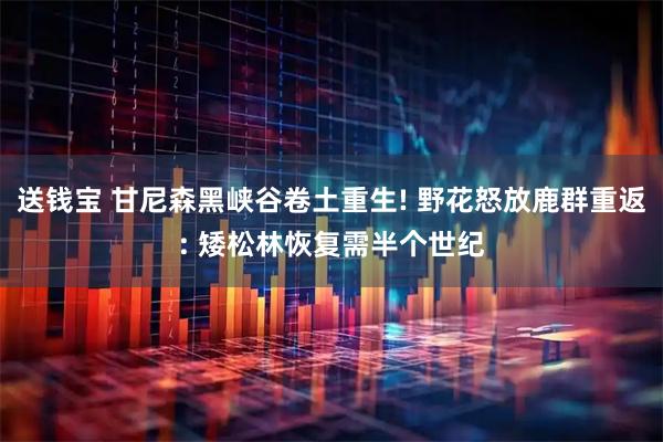 送钱宝 甘尼森黑峡谷卷土重生! 野花怒放鹿群重返: 矮松林恢复需半个世纪
