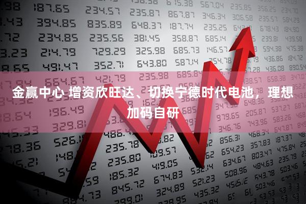 金赢中心 增资欣旺达、切换宁德时代电池，理想加码自研