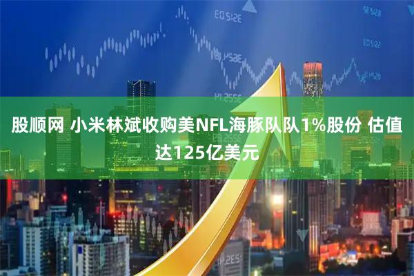 股顺网 小米林斌收购美NFL海豚队队1%股份 估值达125亿美元