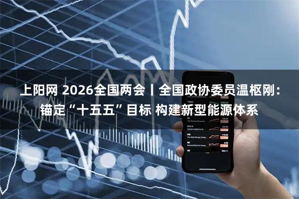 上阳网 2026全国两会丨全国政协委员温枢刚：锚定“十五五”目标 构建新型能源体系