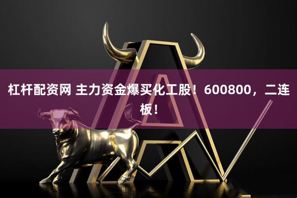 杠杆配资网 主力资金爆买化工股！600800，二连板！