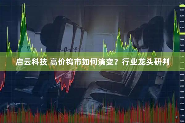 启云科技 高价钨市如何演变？行业龙头研判