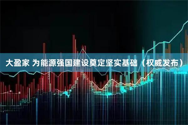 大盈家 为能源强国建设奠定坚实基础（权威发布）