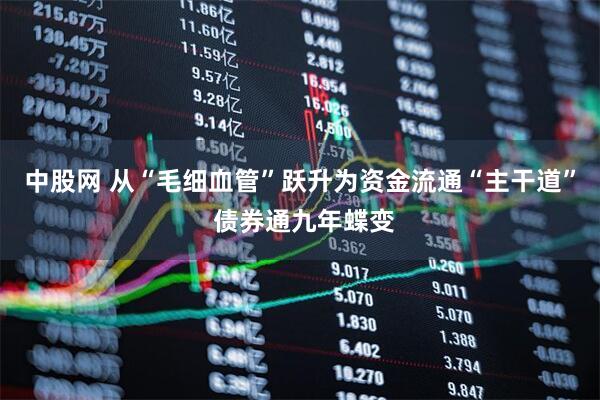 中股网 从“毛细血管”跃升为资金流通“主干道” 债券通九年蝶变
